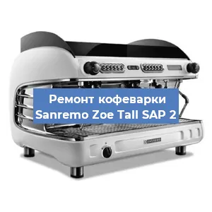 Чистка кофемашины Sanremo Zoe Tall SAP 2 от накипи в Волгограде